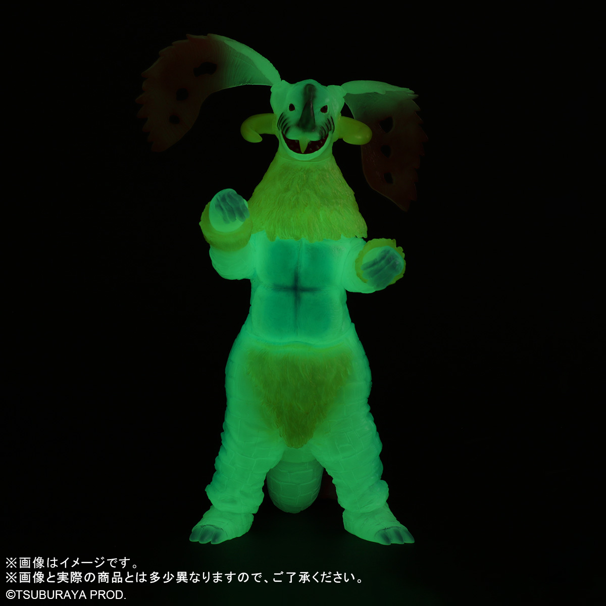 ワンダーフェスティバル2025夏 参加情報