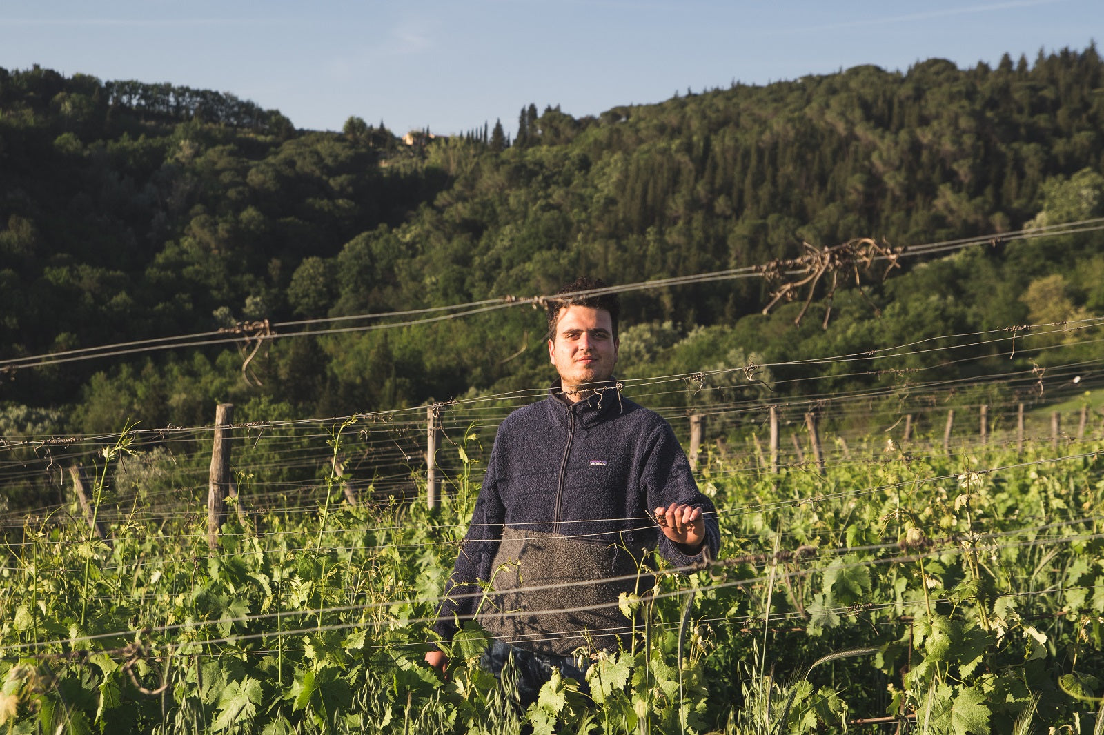 Metamorphika Sumoll Orange | Costador | MYSA Natural Wine