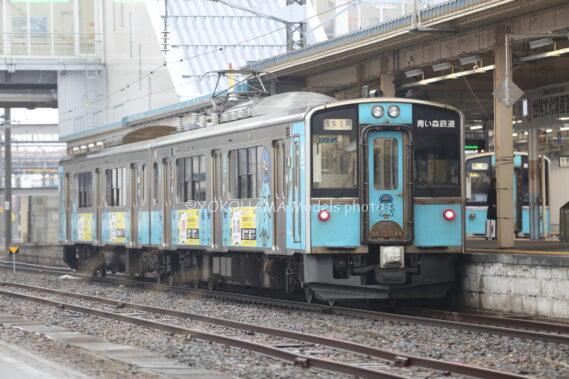 青い森鉄道 青い森701系 第8編成（旧ラッピング？）が入線しました