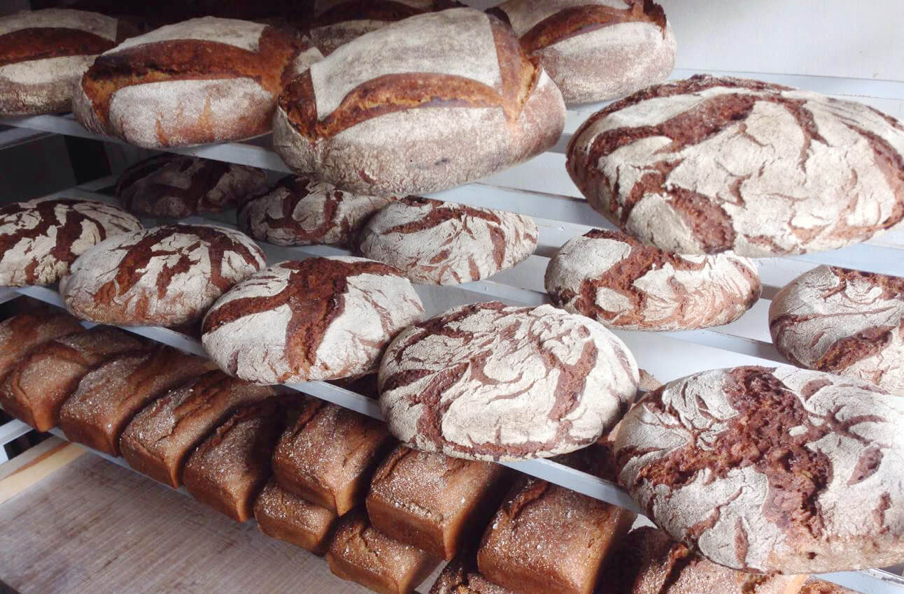 お出かけルポ】古くて新しい、本物のパンづくり。 京丹後の農家パン屋