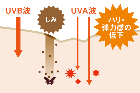 ノブ L＆W デイエッセンス UV: ノブ | ノブ公式オンラインショップ