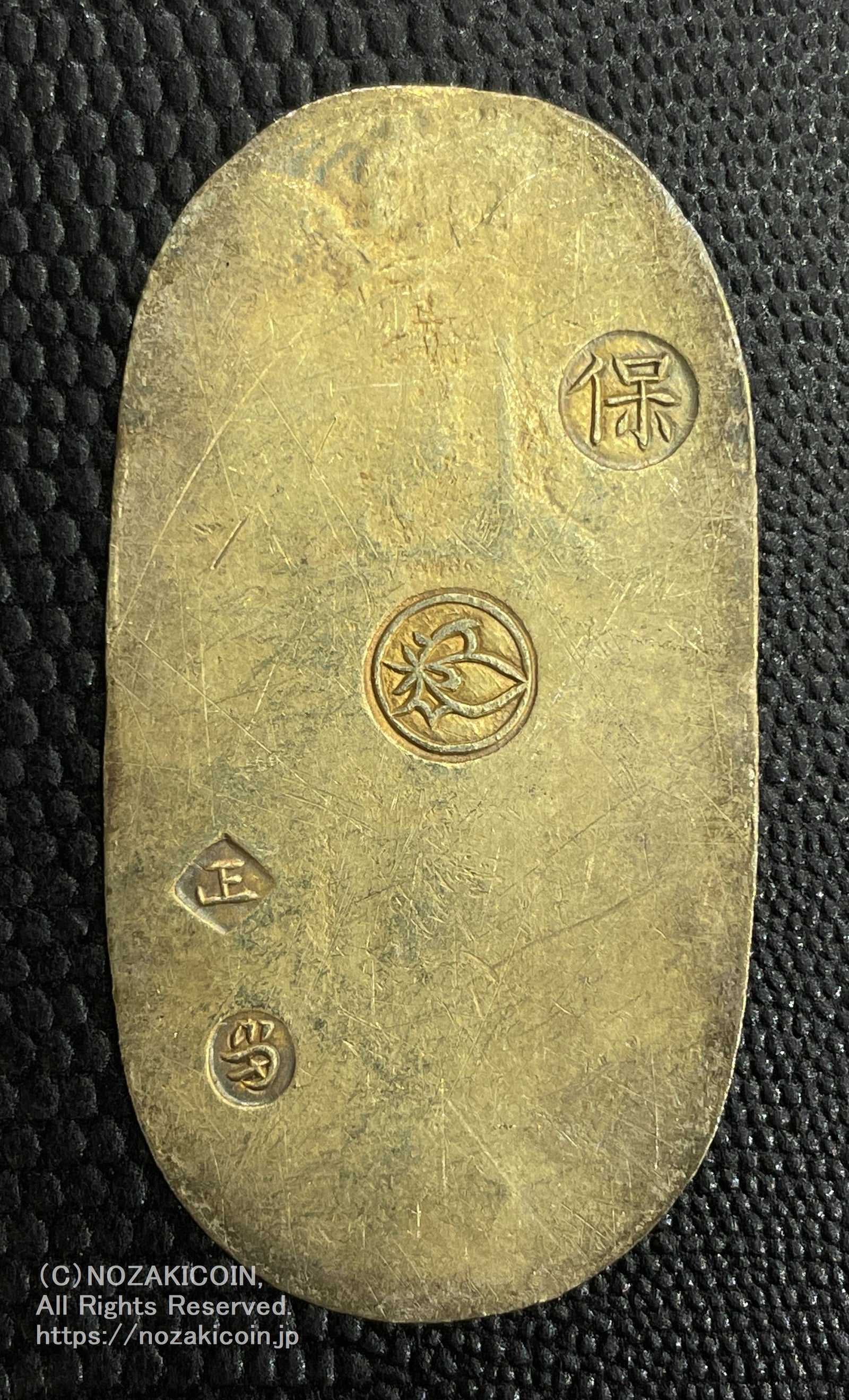 IMG_7057_1600x.jpg?v=1712571276