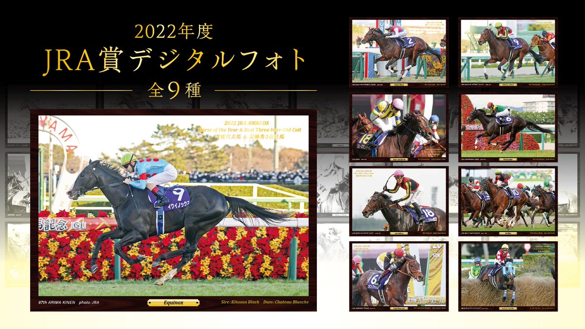 2022年度JRA賞デジタルフォト発売中！】 年度代表馬イクイノックスを