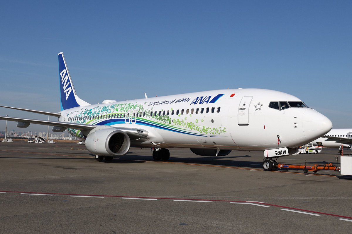 本日はこちらへ JA58AN( 737-800 )「ANA ふるさと JET」 いよいよ、ANA