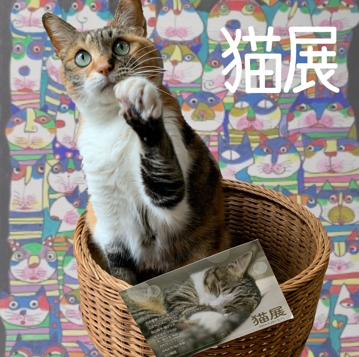 猫六堂＊鈴木信也 (@nekorokudou) / Posts / X