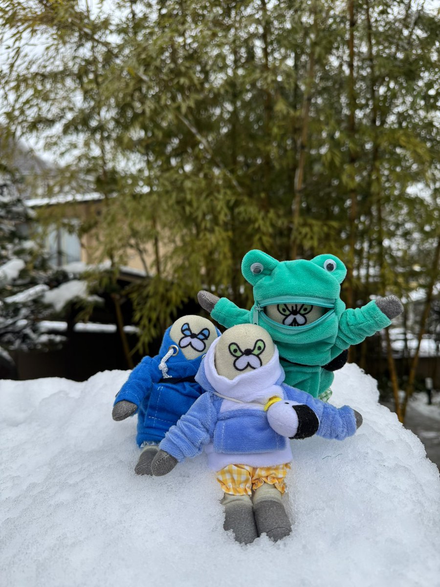 もちもちの (@_mochi2_mochi) / Posts / X