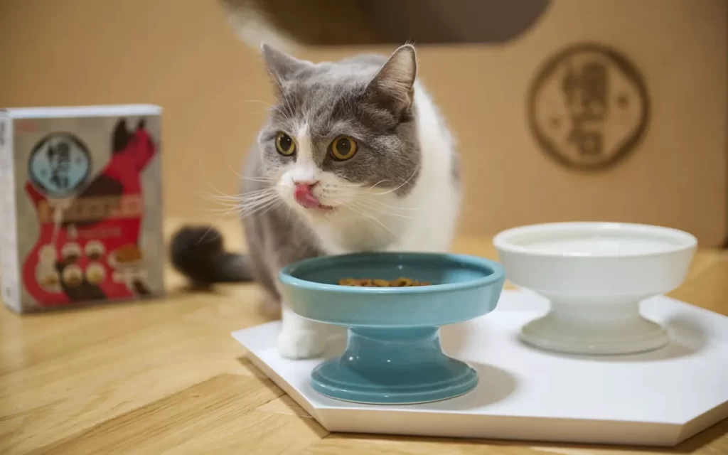 白猫に落書きして“うちの子”カスタム 猫も幸せにするクラフトビール