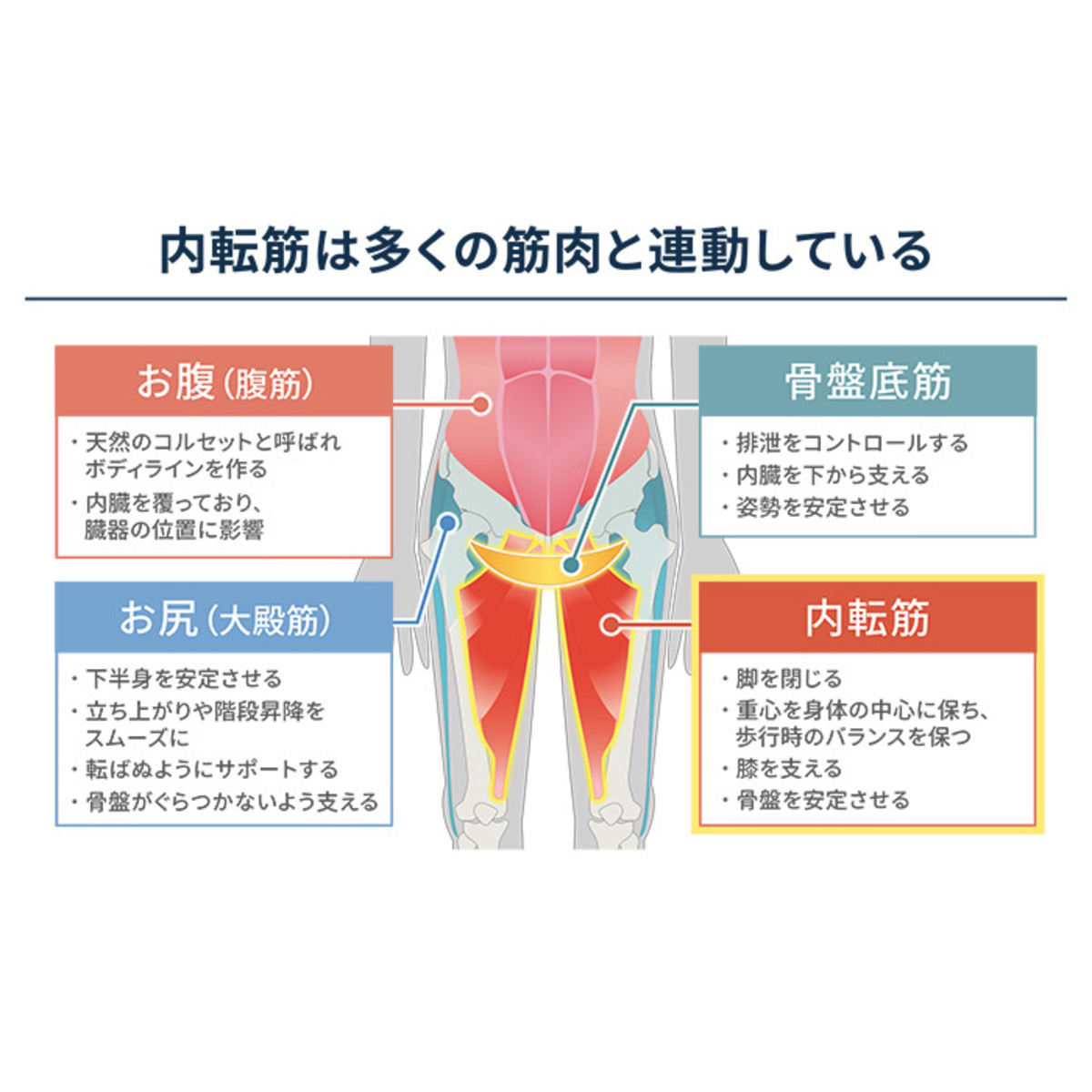 保阪流ウェルネス 内転筋トレーニング キュット座シェイク 保阪流