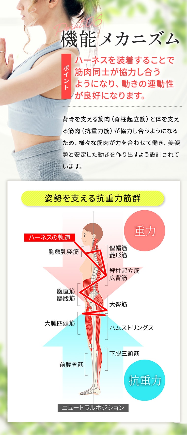 ファンクショナルハーネス、革新のサポートウェア登場！｜医療機器
