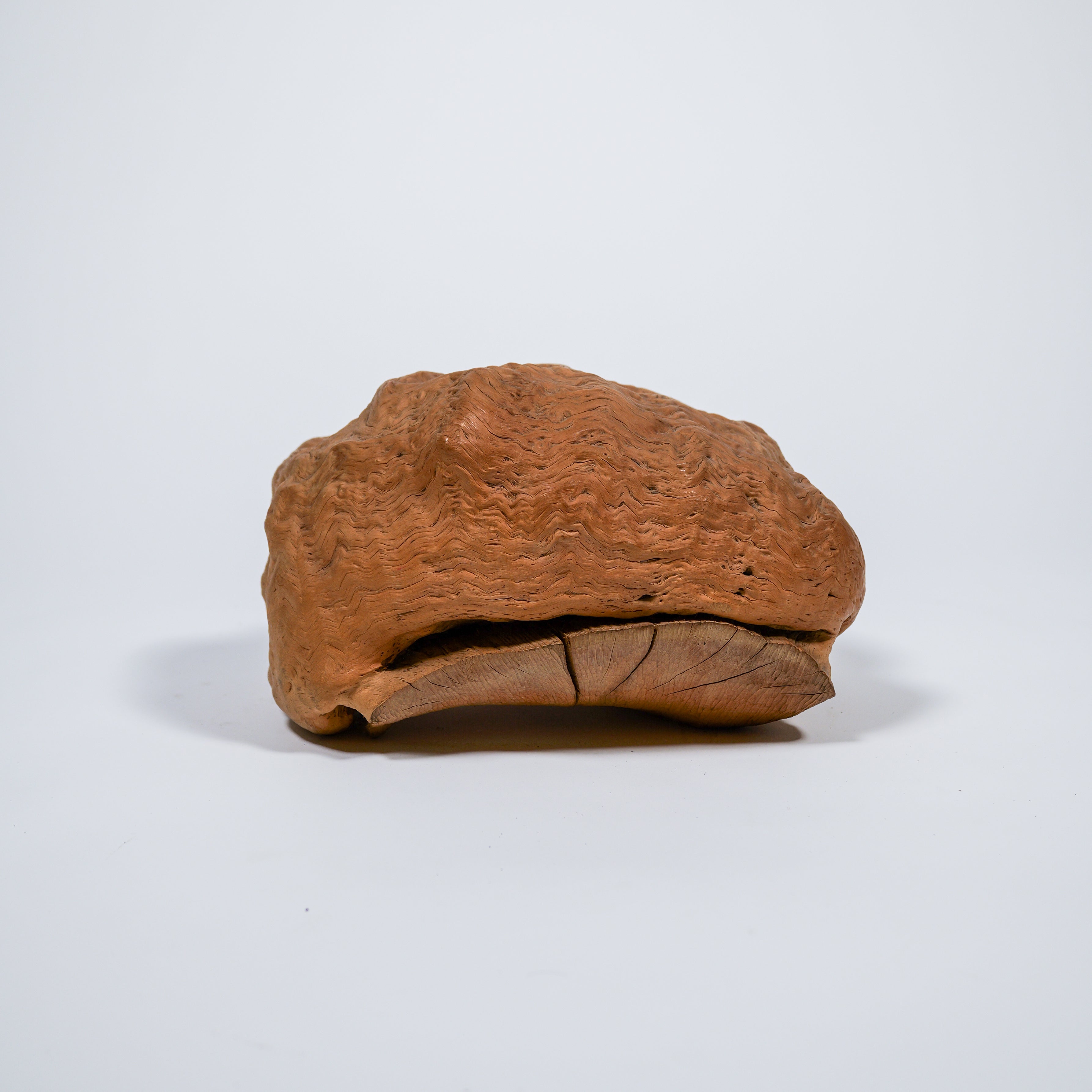 P1144657.jpg?crop=center&