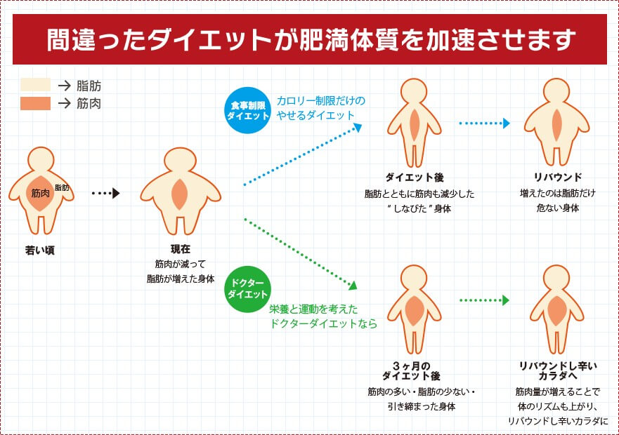 自宅で楽して健康的なカラダづくり｜家庭版ドクターダイエットEMS