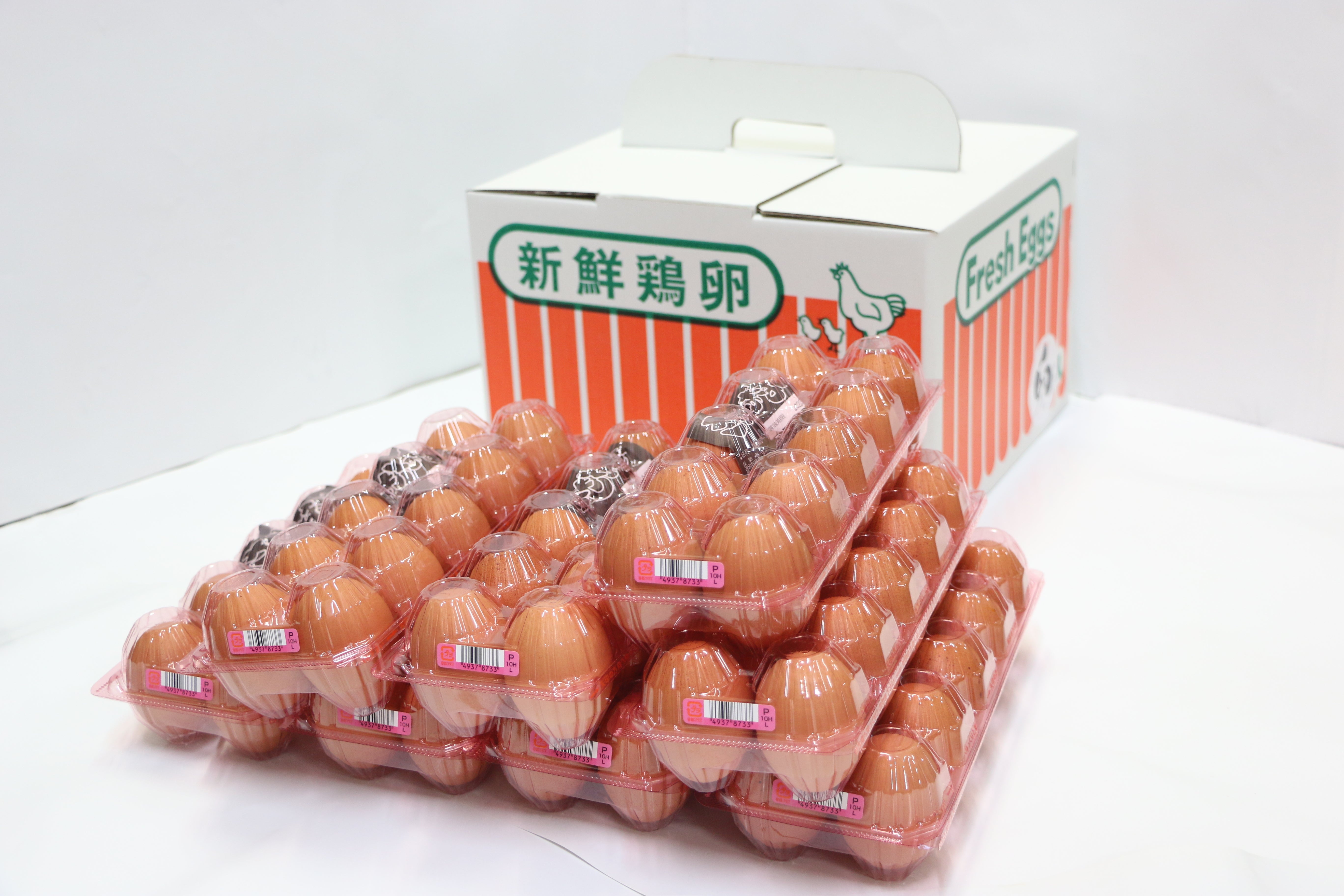 定期便】さかもとのたまご80個×10回配送 – さかもとのたまご