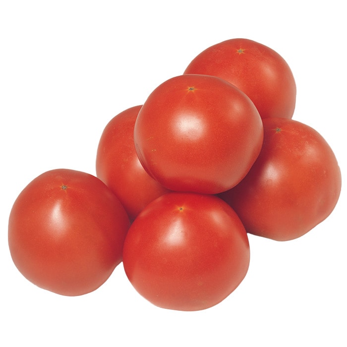 大玉トマト 瑞栄｜種（タネ）,球根,苗,資材,ガーデニンググッズの通販