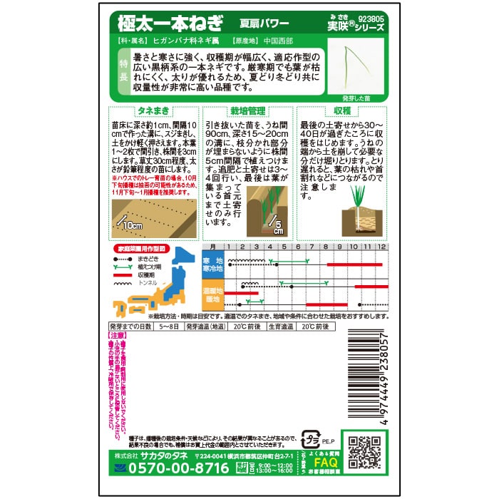 ネギ 夏扇パワー｜種（タネ）,球根,苗,資材,ガーデニンググッズの通販