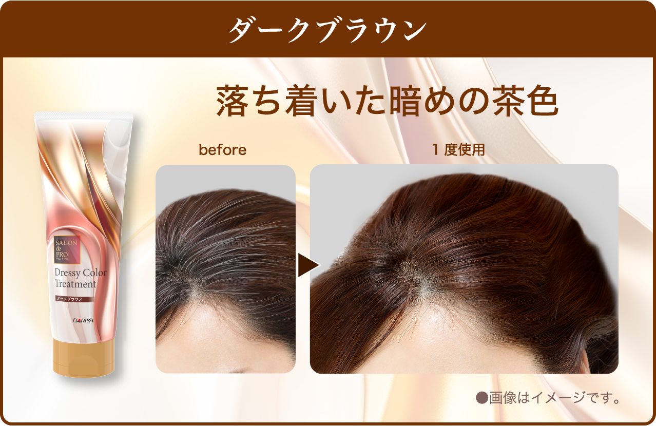 ドレッシーカラートリートメント｜商品情報｜SALON de PRO／サロン ド