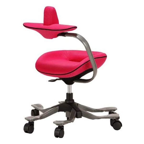 オフィスチェア ワーキングチェア iPole 5 アイポールファイブ