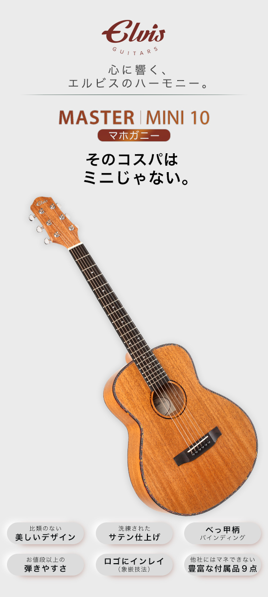 初心者セット8点】ELVISエルビス Master 1 アコースティックギター