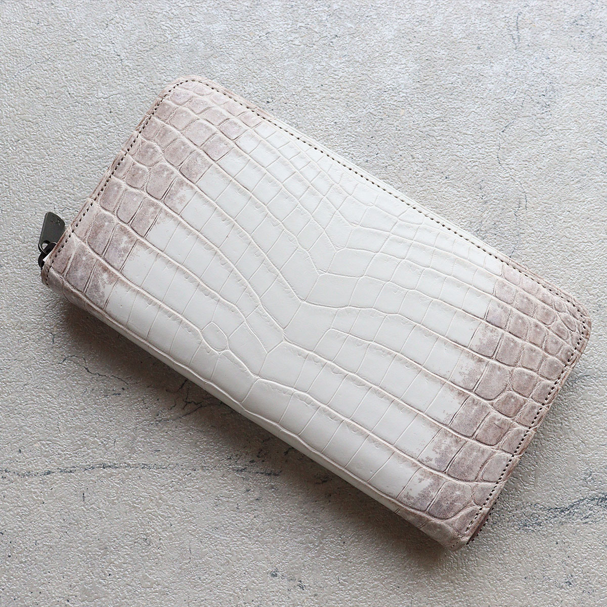 ヒマラヤクロコダイル ホワイト ワニ 希少 ZOO(ズー) ラウンド