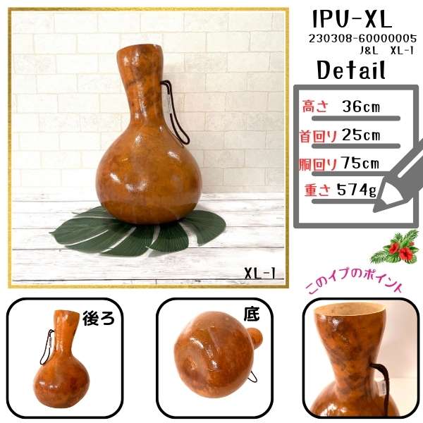イプ XLサイズ フラ フラダンス 楽器 ハワイ ハワイアン 打楽器