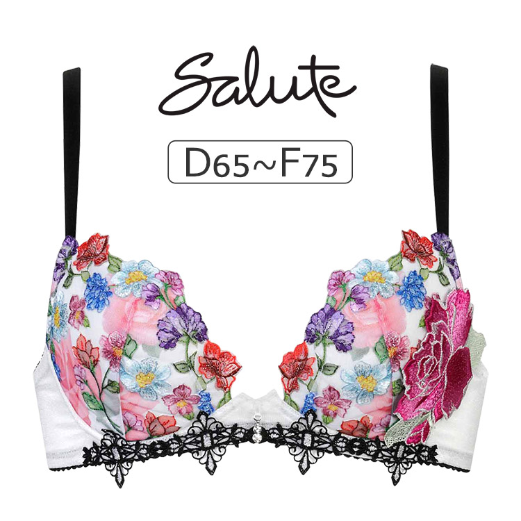 サルート（SALUTE） ワコール 60グループ 60G ブラジャー単品 P-up