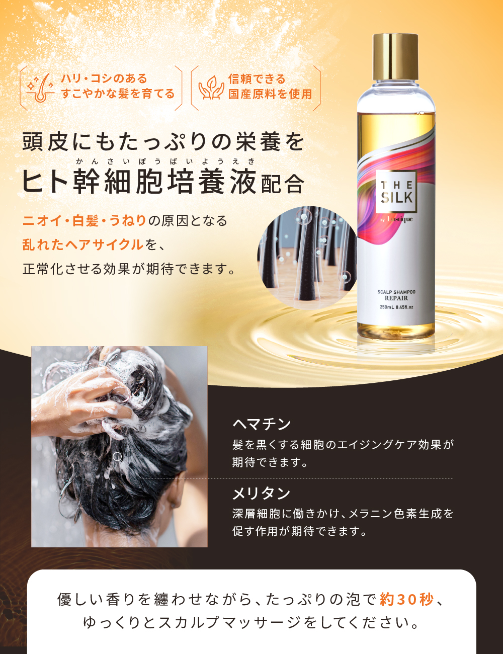 THE SILK（ザ シルク） シャンプー 詰め替え サロン専売 アミノ酸 香水