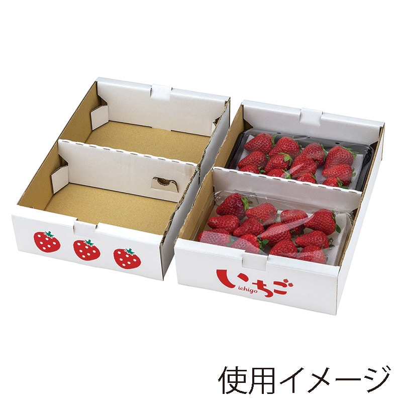 ギフト箱 イラストいちご平詰め 250g4P セパレート L-2514 20枚/束（ご