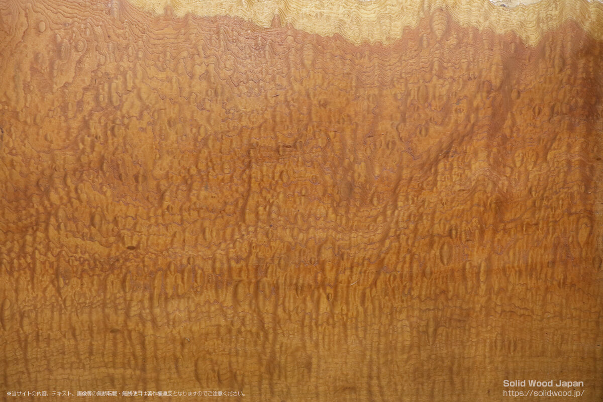 ケヤキジョリンモク（欅如鱗杢）の一枚板 | 無垢材とは | 一枚板比較