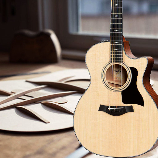 Aria Pro II PE-MAHO II / G | Red Guitars Online Store