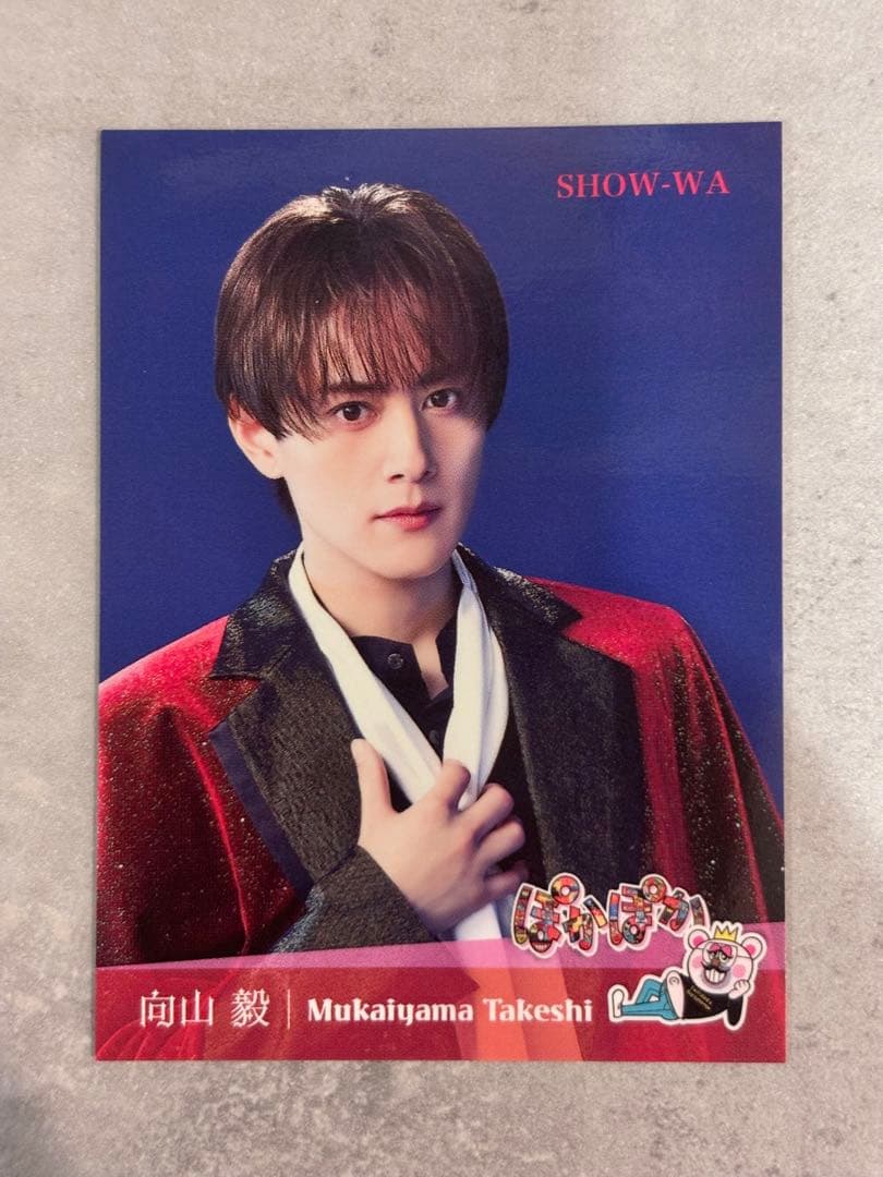 28日まで専ゆかりん様 SHOW-WA 向山 毅 ステッカー ぽかぽか 生歌唱